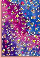 SB0001